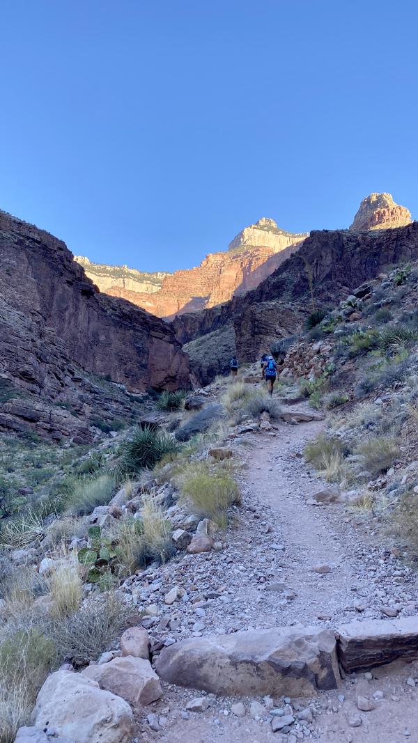 A group of runners power-hikes up the trail