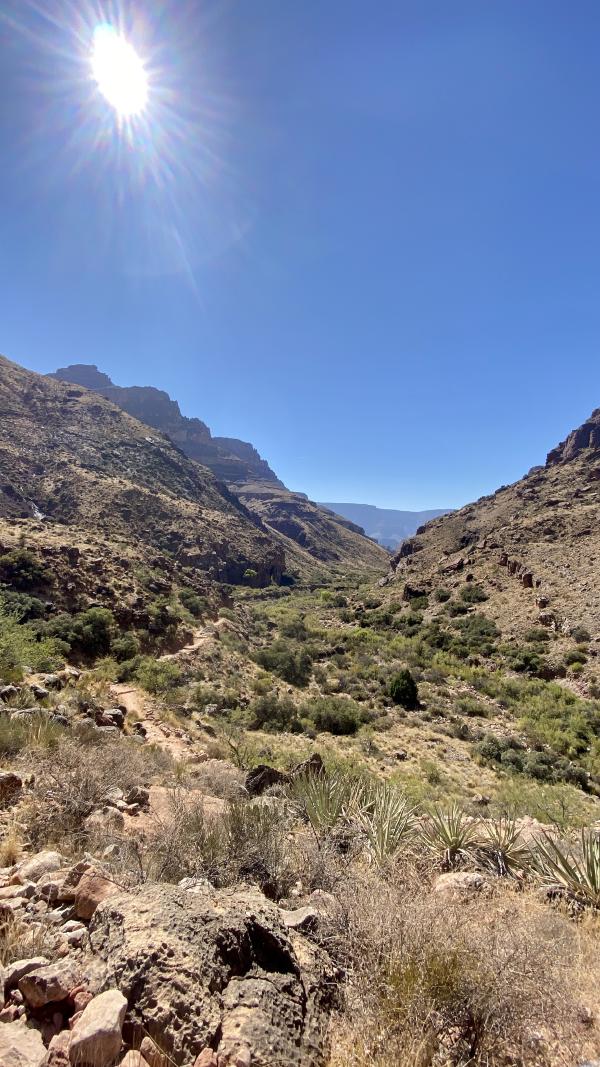 The sun shines on the North Kaibab Trail as it winds along the Bright Angel Creek