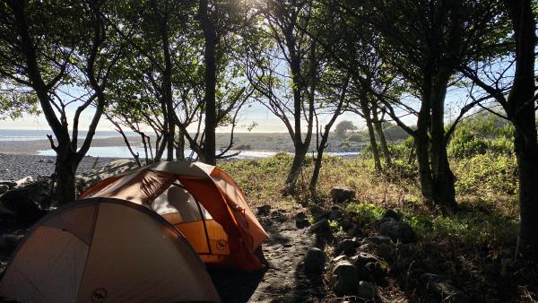 A tent in the trees with the beach in the background